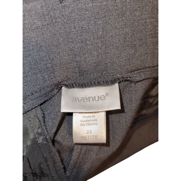 Avenue Womens Gray Petite Trousers Plus size  22 Button Closure Pocket Detail - Picture 5 of 9